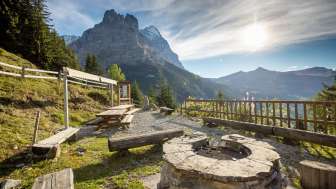 Grillstelle Baumwipfelpfad Grillstelle Baumwipfelpfad