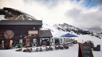 Genepi Genepi