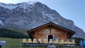 Burehofglace Grindelwald Burehofglace Grindelwald